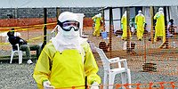По словам экспертов, из Западной Африки в Россию вирус может добраться на рейсах европейских авиакомпаний