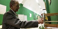 Чичук, предводитель желтоперых