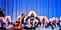 Грязные танцы неправильных пчел