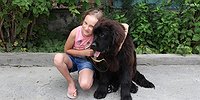 Подарок от Путина придется вычесывать