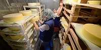 Безлактозному сыру объявили войну