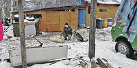 Жизнь, смерть и другие приключения солдата