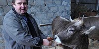 Почему на Руси фермеры плачут