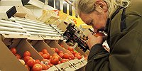Что американцу здорово, то русскому карачун?
