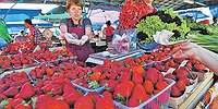 Откуда клубника? Из Крыма, вестимо