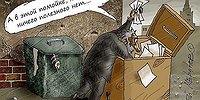 О виселицах ни слова