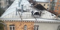 Сталинские дома: выкрасить и выбросить?