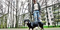 В списке для голосования попадающих под снос пятиэтажек