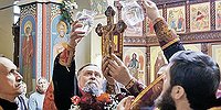 Можно ли публиковать в сети свастику в виде фаллоса