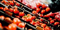 Санкционные товары сменили прописку
