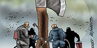 У нас отнимают лес