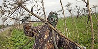 Биологическое оружие против дачников