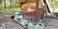 Золотые отбросы общества