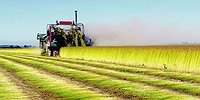 Под легкую промышленность подведут базу