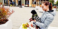 О росте зарплат и пенсий, переселении из хрущевок и транспорте в столице