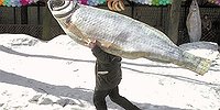 Вышли на тропу «финансовой войны»