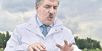 Клубничный кандидат