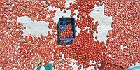 Россия расширяет иностранное меню