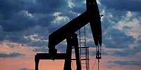 Подорожание углеводородов: Съесть нефть сейчас и - будь что будет ?
