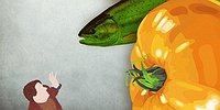Время развешивать ярлыки