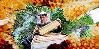 Пенсионеров зовут в малый бизнес
