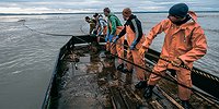 Слишком хорошо работали