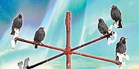 Опять всемирный потоп