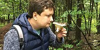 В Подмосковье - грибное цунами