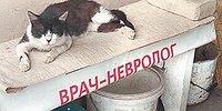 Чем больна российская медицина?