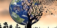 Пещерный человек и шкурный интерес