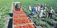 Чтобы ликвидировать село, достаточно закрыть в нем школу и больницу