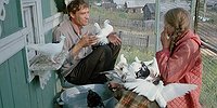 Поставил кино на паузу