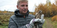Экономить — это привычка