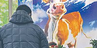 Каждой шестой семье приходится урезать рацион