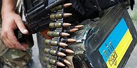 Чем опасны донбасские фазаны