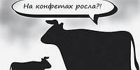 Непобедимая беда с едой