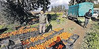 Почему Россия прощает советские долги, а Китай скупил за кредиты полмира