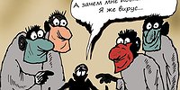 Демократия вирусу не товарищ