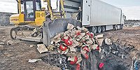 Может, все-таки раздавать бедным продукты