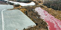 Отходная молитва по экологии