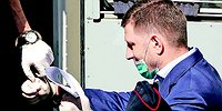 В чем ошибся Фургал и что делать с Хабаровском его сменщику