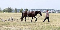 Почему в России покупка земли - это бюрократический ад