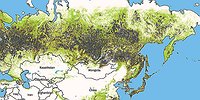 НЕ РУБИТЕ, МУЖИКИ, НЕ РУБИТЕ !