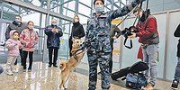 Мухтар, ищи вирусяку! Ищи!