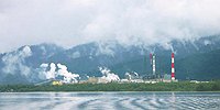 «Росатому» добавилось целлюлозно-бумажной работы