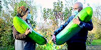 Как придумывают цены?