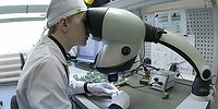 Охота на работу