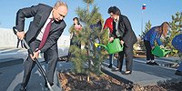 Посадка больше чем жизнь