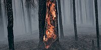 Жара, смерчи и наука о климате