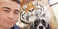 Любовь нечаянно нагреет